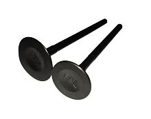 Клапан впускной/выпускной GY6-180 1P62F WD180 (162F.02.311+162F.02.312)