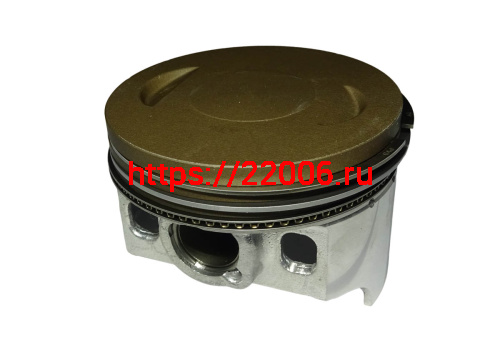 Поршень в сборе SHINERAY VJP250-4 172FMM (кольца, палец, стопорн. кольца) (смотри каталог) Поршень в сборе SHINERAY VJP250-4 172FMM (кольца, палец, стопорн. кольца) (смотри каталог)