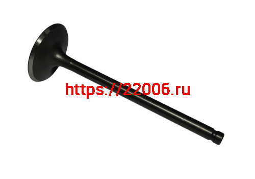 Клапан впускной SHINERAY  VJ250 169YMM (22020096) (31х89х5)