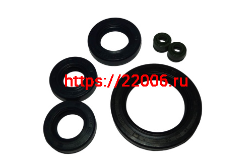 Набор сальников двигателя CGB200 (НАБОР)