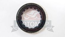 Сальник 33*46*11 / 33*46 / 5,6*14 перед. вилки, аморт. (TTR 125, BSE PH10-125)