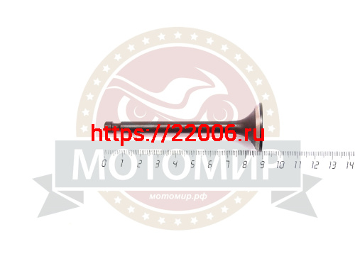 Клапан выпускной 173F