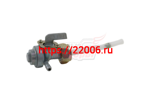 Бензокран трицикл WM250ZH-2