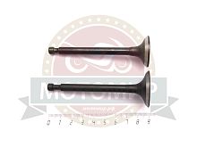 Клапан впускной + выпускной 173F (d5.5мм, 69,5*30,5/69,5*25,5мм) (GХ 240) (YT-GP-000237)