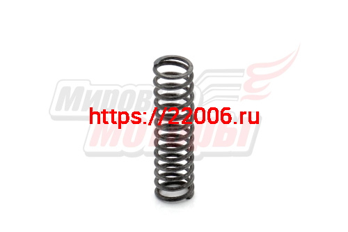 Пружина Рысь звездочки 39,41 (113.06.010.034)