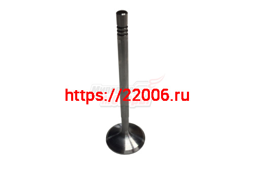 Клапан впускной AMULET(480E-1007011)